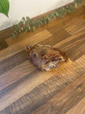 Pork Pig Ears- 1pc