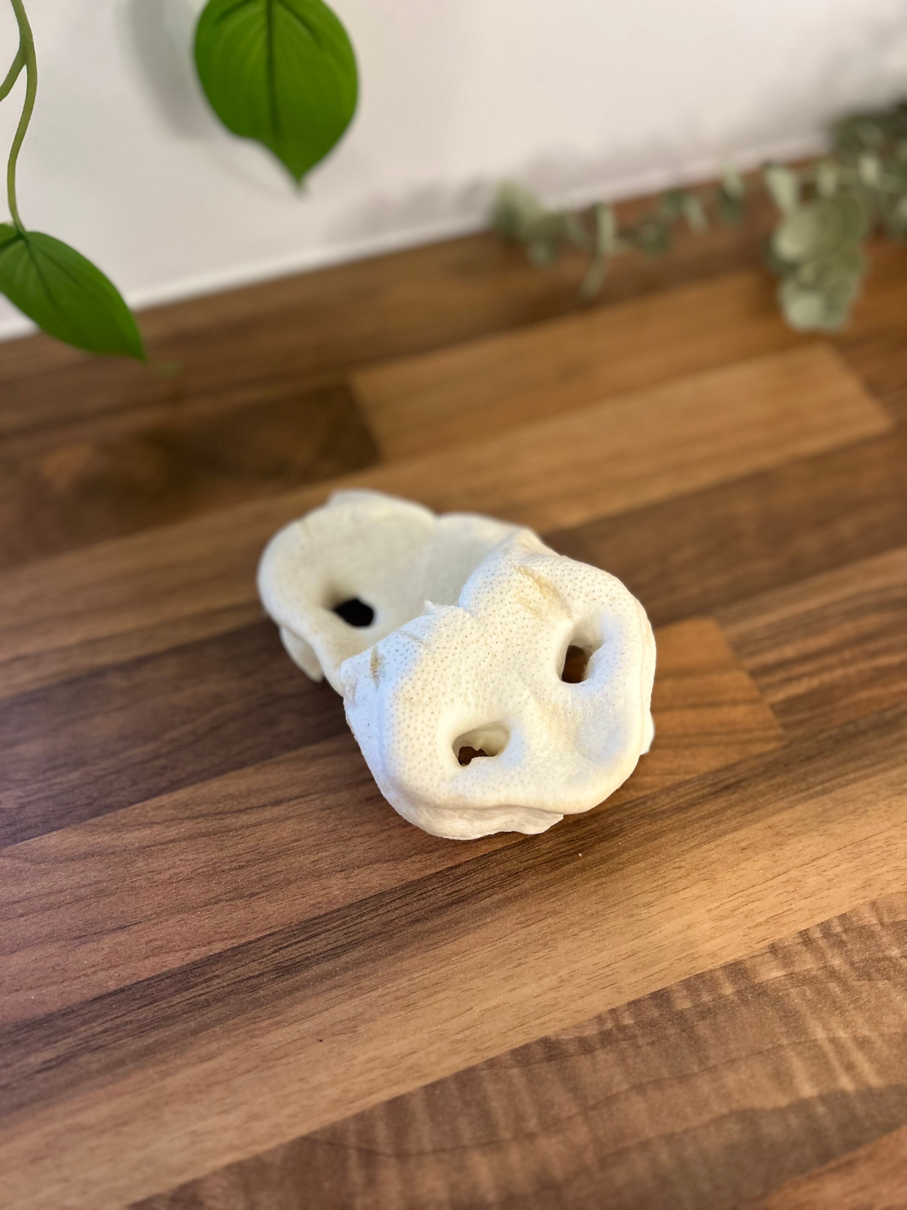 Pork Pig White Snout